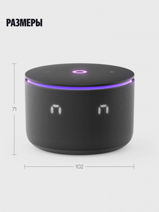 Умная колонка Яндекс Станция Мини 3 Про, черный