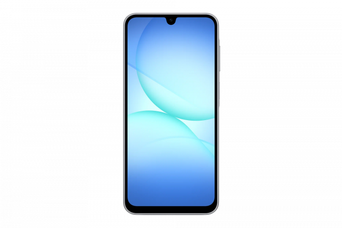 Смартфон Samsung Galaxy A17 4/128Gb, Grey