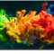 Телевизор LG 75QNED80B6A