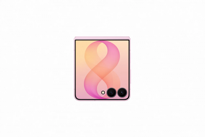 Смартфон Samsung Galaxy Z Flip8 SM-F776B 12/256GB Pink