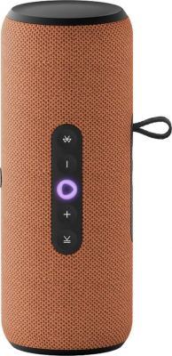 Умная колонка Яндекс Станция Стрит с Алисой оранжевый