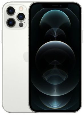 Смартфон Apple iPhone 12 Pro Max 256GB Silver (MGDD3RU/A)